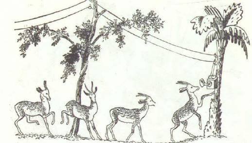 Сказки (иллюстрации Конашевича В.М.) - _14.jpg