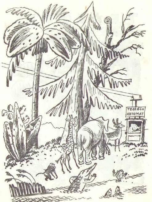 Сказки (иллюстрации Конашевича В.М.) - _4.jpg