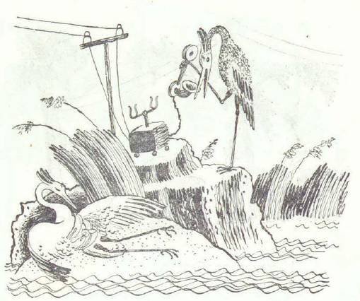 Сказки (иллюстрации Конашевича В.М.) - _13.jpg
