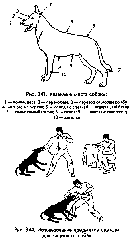 Боевая Машина: Руководство По Самозащите — 3 - any2fbimgloader3.png