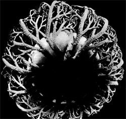 Вектор фантазии - i_001.jpg