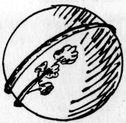 Вектор фантазии - i_002.jpg