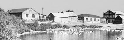 «Тихий Дон»: судьба и правда великого романа - _58.jpg