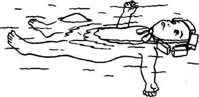 Малыш в мире природы - _12.jpg