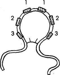 Малыш в мире природы - _13.jpg