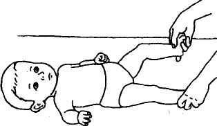 Малыш в мире природы - _9.jpg