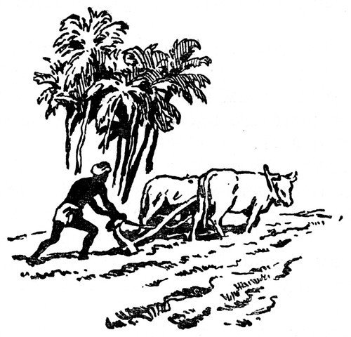 Индийский мечтатель - i_010.jpg