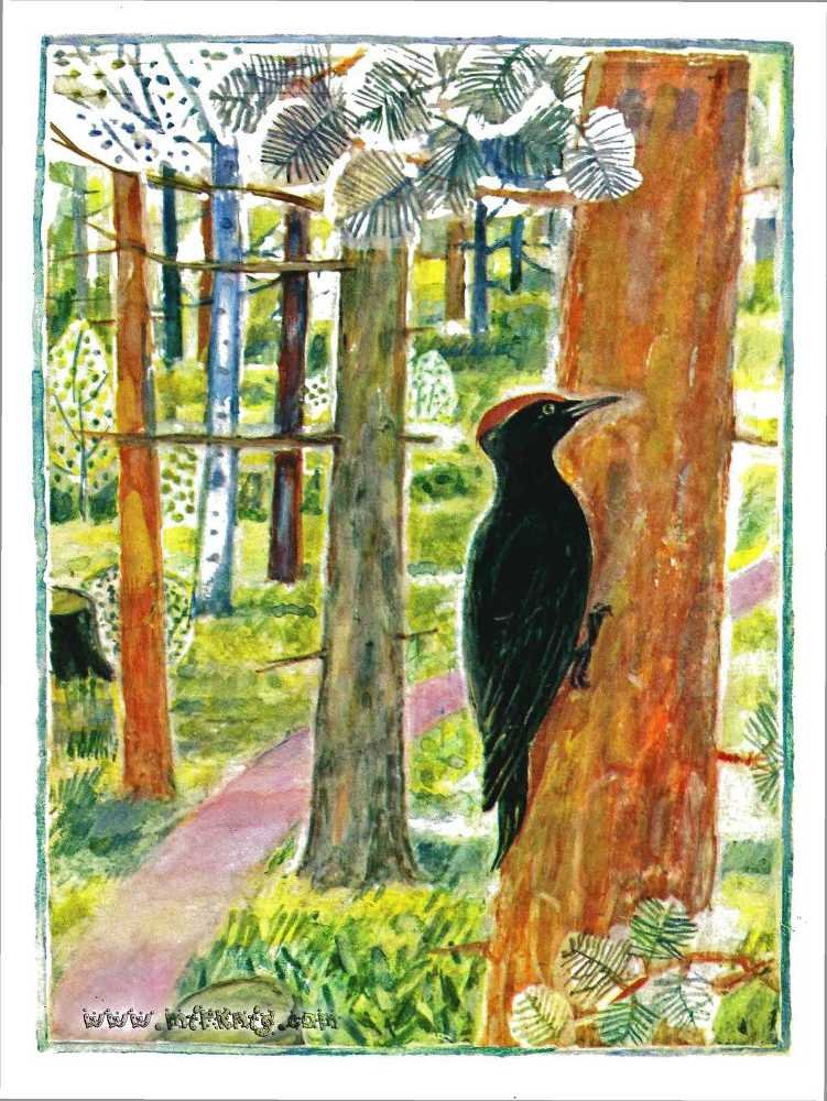 Солнце на дорожке - _19.jpg
