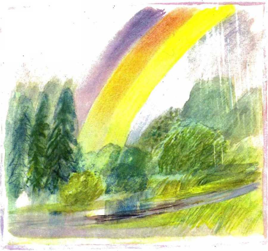 Солнце на дорожке - _31.jpg