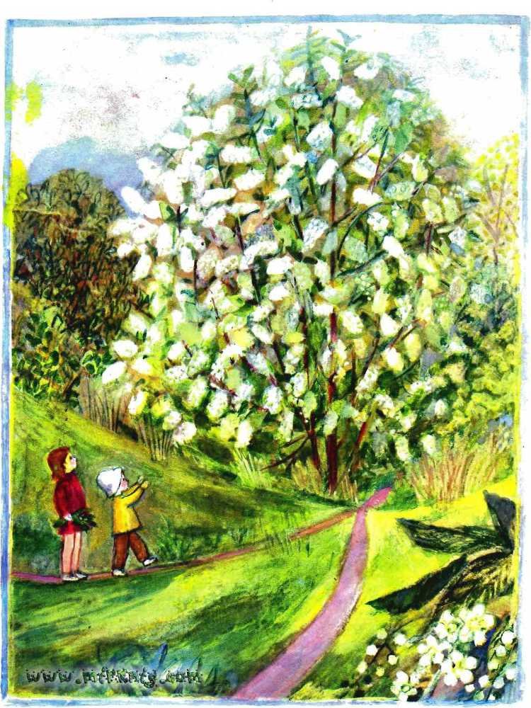 Солнце на дорожке - _21.jpg