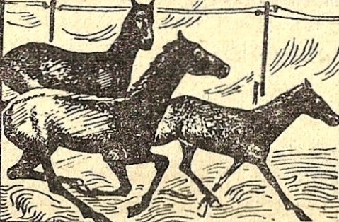 Лирика 30-х годов - i_004.jpg