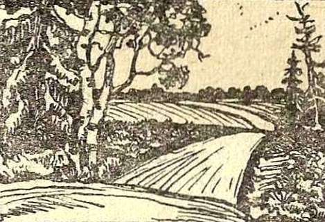 Лирика 30-х годов - i_011.jpg