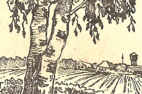 Лирика 30-х годов - i_041.jpg