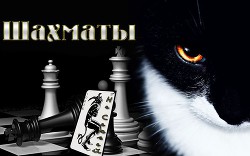 Книга Шахматы (СИ)
