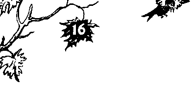 Катя и Крокодил (илл. Калаушина Б.М.) - pic_56.png