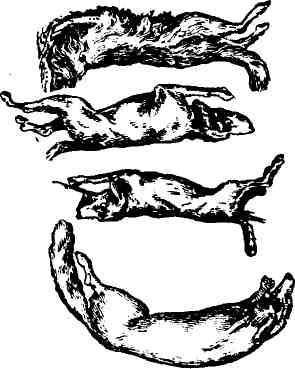 Современный болгарский детектив. Выпуск 3 - img_3.jpeg