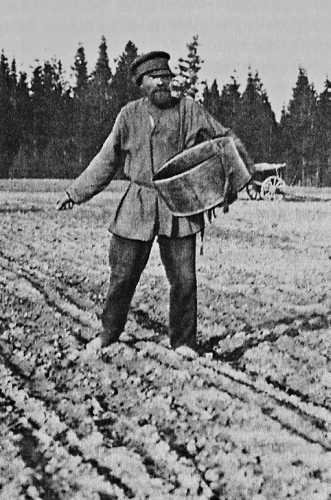 Девять веков юга Москвы. Между Филями и Братеевом - i_187.jpg