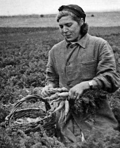 Девять веков юга Москвы. Между Филями и Братеевом - i_221.jpg