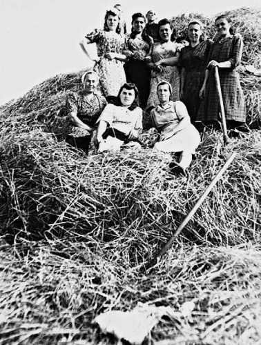 Девять веков юга Москвы. Между Филями и Братеевом - i_239.jpg