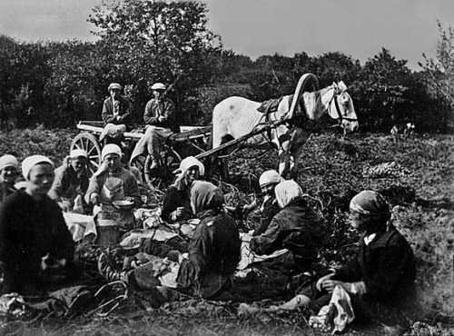 Девять веков юга Москвы. Между Филями и Братеевом - i_240.jpg