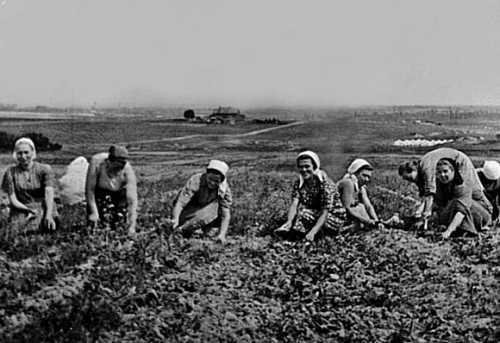 Девять веков юга Москвы. Между Филями и Братеевом - i_241.jpg