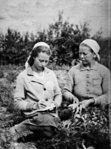 Девять веков юга Москвы. Между Филями и Братеевом - i_243.jpg