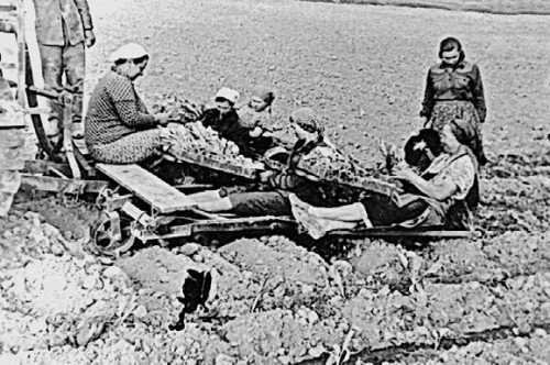 Девять веков юга Москвы. Между Филями и Братеевом - i_247.jpg