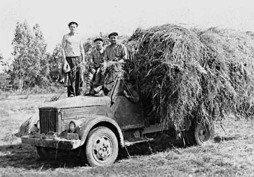 Девять веков юга Москвы. Между Филями и Братеевом - i_258.jpg