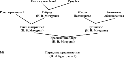 Взрасти свой сад - img_1.png