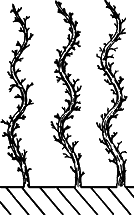 Взрасти свой сад - img_15.png