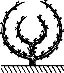 Взрасти свой сад - img_21.png