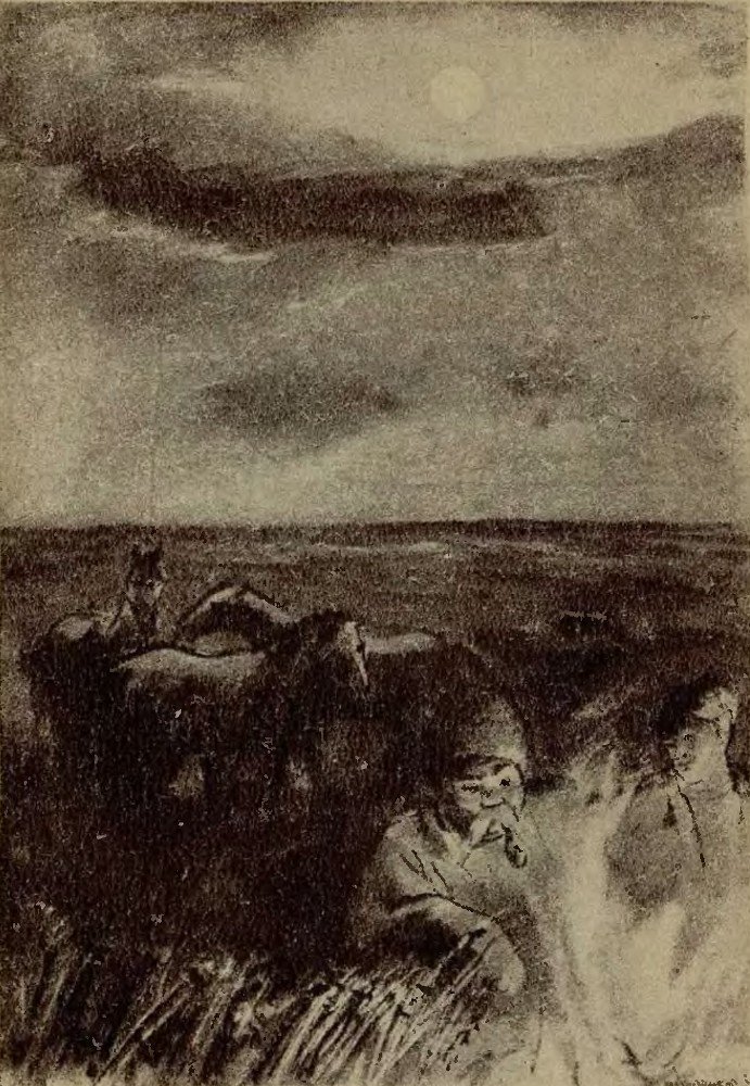 Тарас Бульба (иллюстрации Кукрыниксов) - _2.jpg