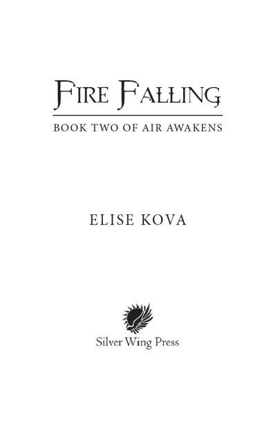 Fire Falling  - _3.jpg