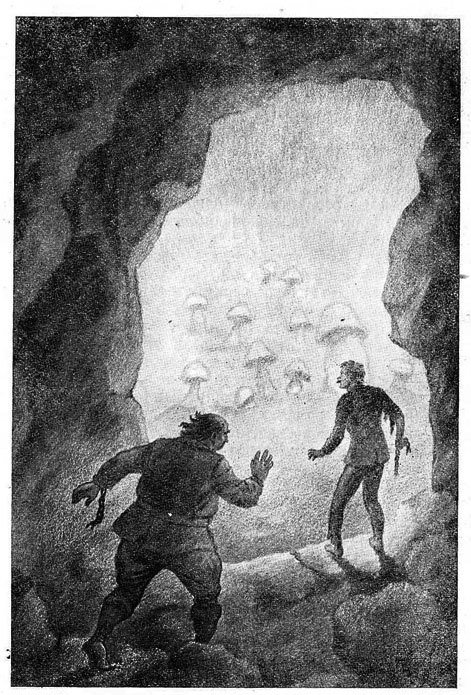 Первые люди на Луне(изд.1939) - i_011.jpg