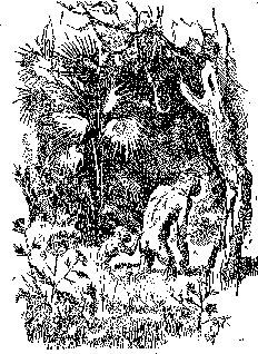 Недостающее звено(изд.1945) - pic_4.png
