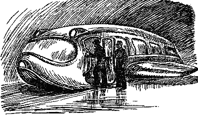 Удивительное путешествие(изд.1949) - i_001.png