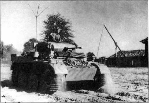 Маленькие &laquo;Тигры&raquo; - i_028.jpg