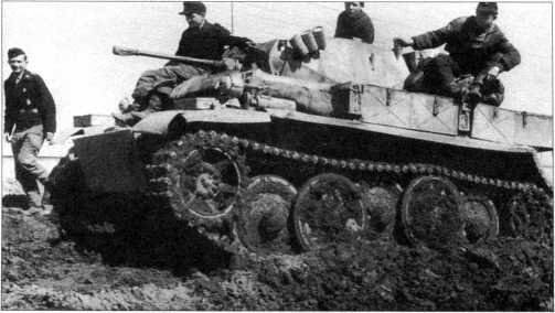 Маленькие &laquo;Тигры&raquo; - i_036.jpg