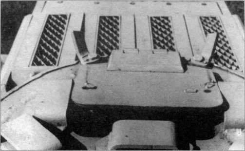 Маленькие &laquo;Тигры&raquo; - i_073.jpg