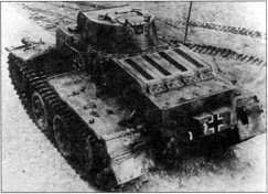 Маленькие &laquo;Тигры&raquo; - i_079.jpg