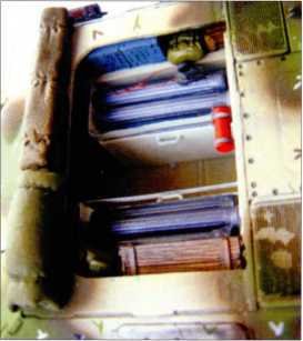 Маленькие &laquo;Тигры&raquo; - i_123.jpg