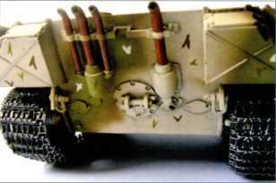 Маленькие &laquo;Тигры&raquo; - i_124.jpg