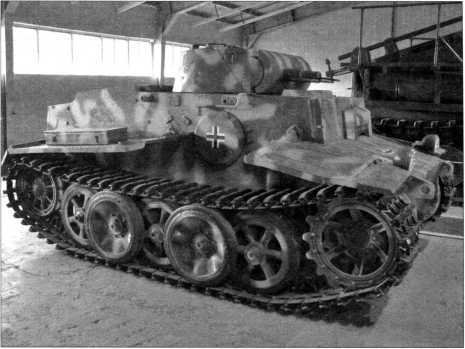 Маленькие &laquo;Тигры&raquo; - i_125.jpg