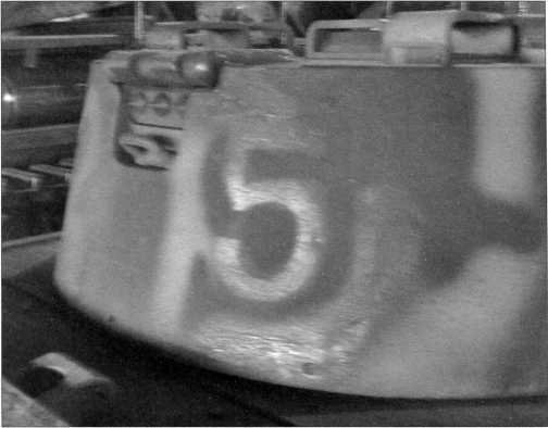 Маленькие «Тигры» - i_145.jpg