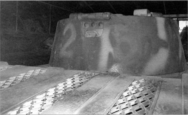 Маленькие «Тигры» - i_146.jpg