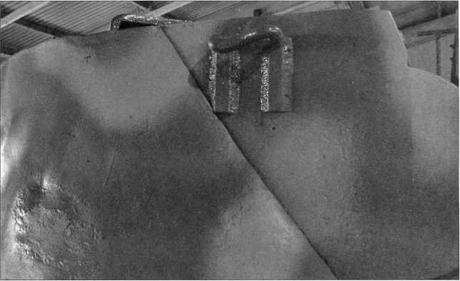 Маленькие «Тигры» - i_151.jpg