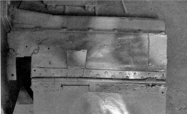 Маленькие «Тигры» - i_152.jpg