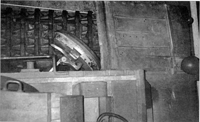 Маленькие «Тигры» - i_171.jpg