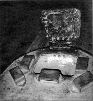 Маленькие «Тигры» - i_172.jpg