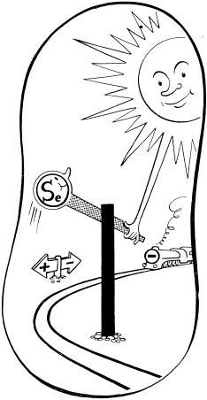 Металлы и человек - i_162.jpg